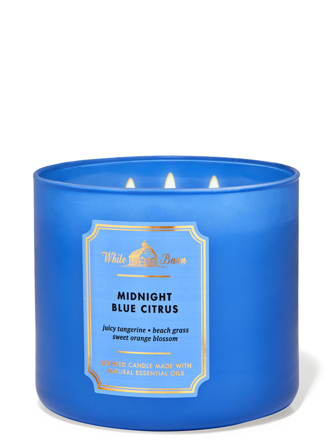 Disfruta tu Vela 3 Mechas Midnight Blue Citrus | Bath and Body Works