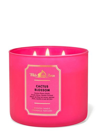 Cactus Blossom