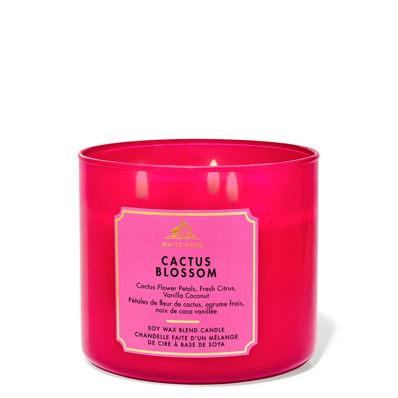 Vela-3-Mechas-Cactus-Blossom-28013578